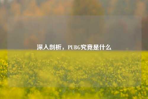 深入剖析，PUBG究竟是什么