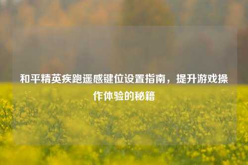 和平精英疾跑遥感键位设置指南，提升游戏操作体验的秘籍
