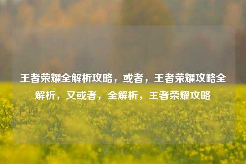 王者荣耀全解析攻略，或者，王者荣耀攻略全解析，又或者，全解析，王者荣耀攻略