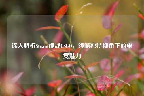 深入解析Steam观战CSGO，领略独特视角下的电竞魅力