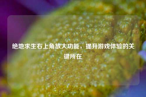 绝地求生右上角放大功能，提升游戏体验的关键所在