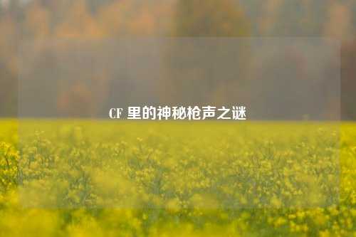 CF 里的神秘枪声之谜