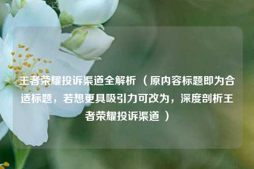 王者荣耀投诉渠道全解析 （原内容标题即为合适标题，若想更具吸引力可改为，深度剖析王者荣耀投诉渠道 ）