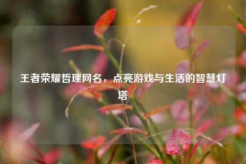 王者荣耀哲理网名,点亮游戏与生活的智慧灯塔