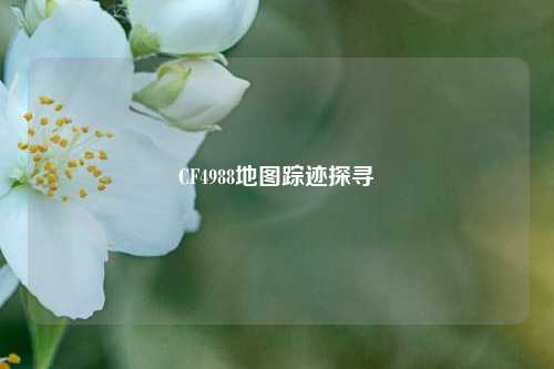 CF4988地图踪迹探寻