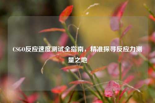 CSGO反应速度测试全指南,精准探寻反应力测量之地