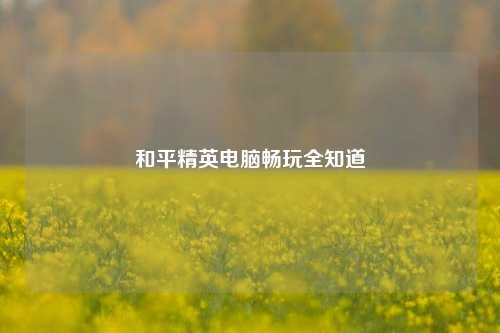 和平精英电脑畅玩全知道