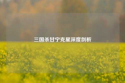 三国杀甘宁克星深度剖析