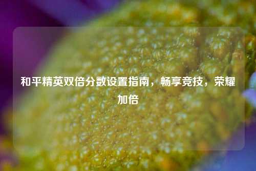和平精英双倍分数设置指南，畅享竞技，荣耀加倍