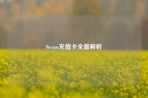 Steam充值卡全面解析