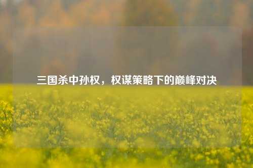 三国杀中孙权，权谋策略下的巅峰对决