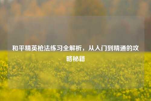 和平精英枪法练习全解析,从入门到精通的攻略秘籍
