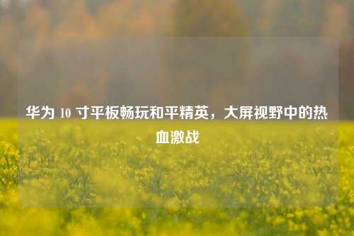 华为 10 寸平板畅玩和平精英,大屏视野中的热血激战