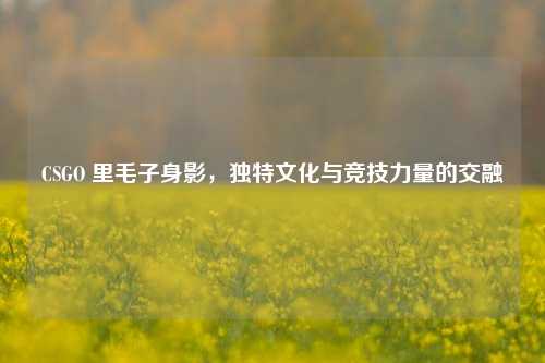 CSGO 里毛子身影,独特文化与竞技力量的交融