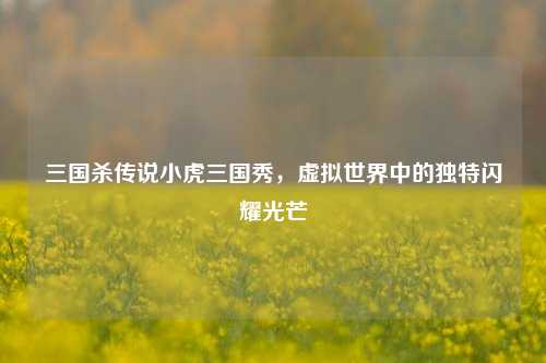 三国杀传说小虎三国秀，虚拟世界中的独特闪耀光芒