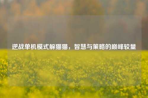 逆战单机模式躲猫猫，智慧与策略的巅峰较量