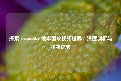 探索 Steamsider 地牢围攻视频世界,深度剖析与独特体验