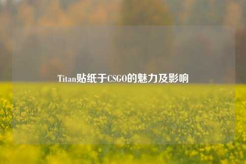 Titan贴纸于CSGO的魅力及影响