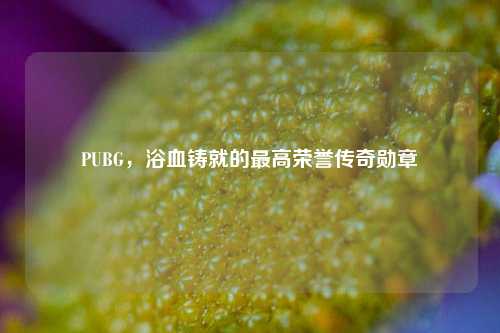 PUBG，浴血铸就的最高荣誉传奇勋章