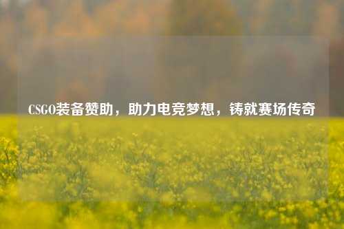 CSGO装备赞助，助力电竞梦想，铸就赛场传奇