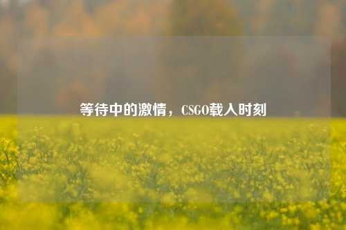 等待中的激情，CSGO载入时刻