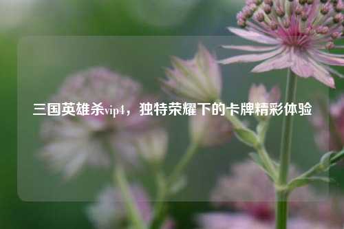 三国英雄杀vip4,独特荣耀下的卡牌精彩体验