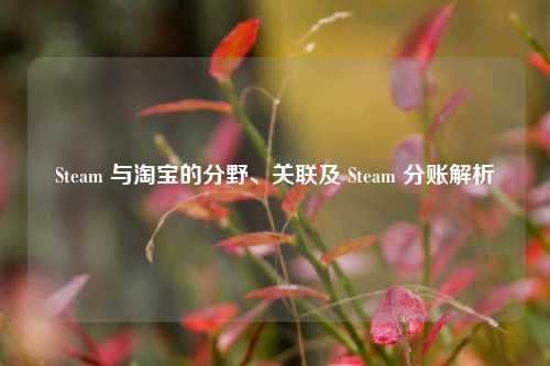 Steam 与淘宝的分野、关联及 Steam 分账解析