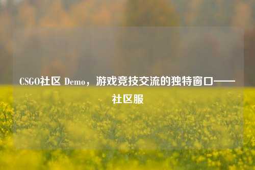 CSGO社区 Demo,游戏竞技交流的独特窗口——社区服