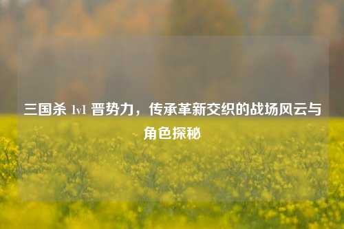 三国杀 1v1 晋势力,传承革新交织的战场风云与角色探秘
