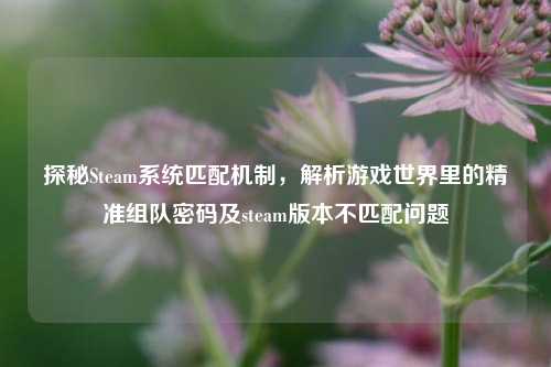 探秘Steam系统匹配机制,解析游戏世界里的精准组队密码及steam版本不匹配问题
