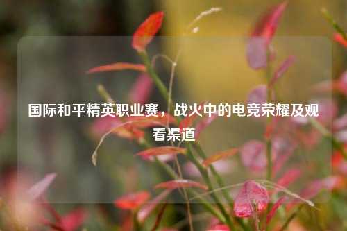 国际和平精英职业赛，战火中的电竞荣耀及观看渠道