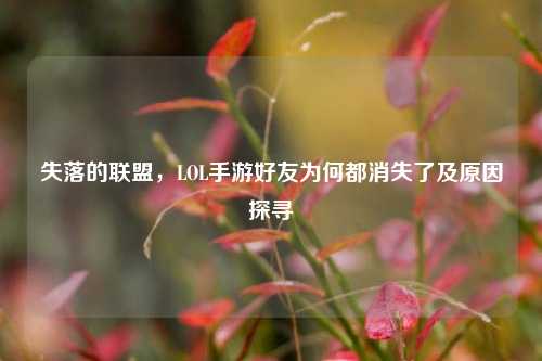 失落的联盟,LOL手游好友为何都消失了及原因探寻
