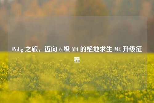 Pubg 之旅,迈向 6 级 M4 的绝地求生 M4 升级征程