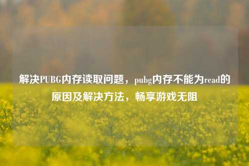 解决PUBG内存读取问题，pubg内存不能为read的原因及解决方法，畅享游戏无阻