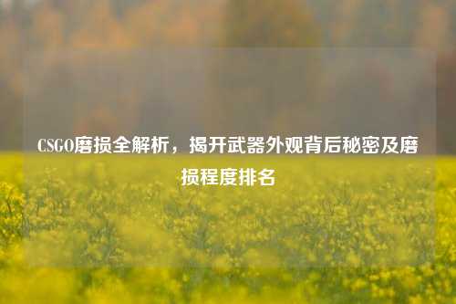CSGO磨损全解析,揭开武器外观背后秘密及磨损程度排名