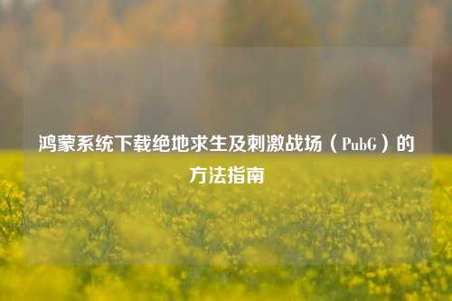 鸿蒙系统下载绝地求生及刺激战场(PubG)的方法指南