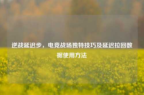 逆战延迟步,电竞战场独特技巧及延迟拉回数据使用方法