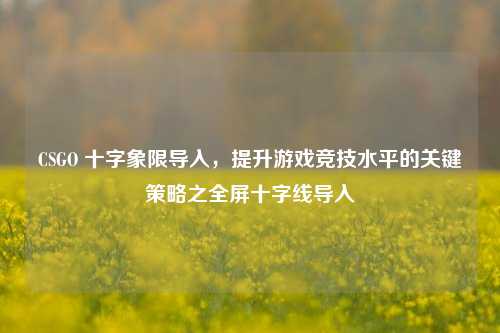 CSGO 十字象限导入,提升游戏竞技水平的关键策略之全屏十字线导入