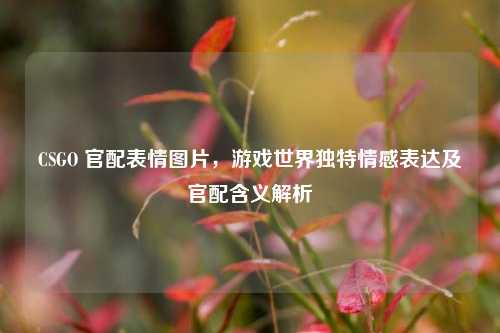 CSGO 官配表情图片,游戏世界独特情感表达及官配含义解析
