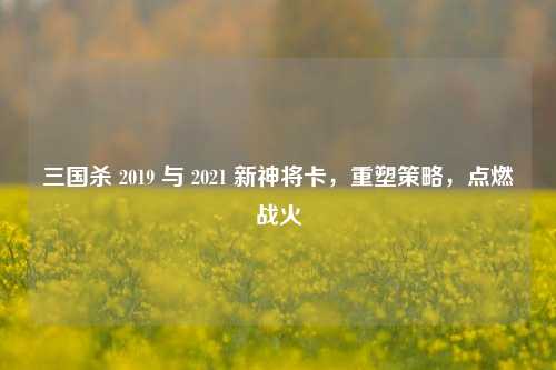 三国杀 2019 与 2021 新神将卡,重塑策略,点燃战火