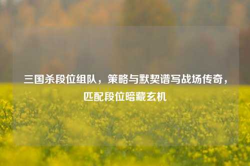 三国杀段位组队,策略与默契谱写战场传奇,匹配段位暗藏玄机