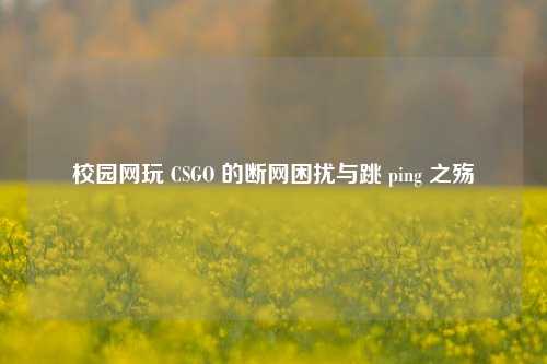校园网玩 CSGO 的断网困扰与跳 ping 之殇