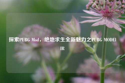 探索PUBG Mod,绝地求生全新魅力之PUBG MODElIR
