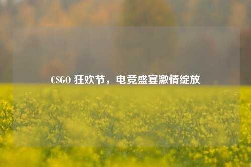 CSGO 狂欢节,电竞盛宴激情绽放