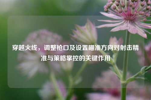 穿越火线,调整枪口及设置瞄准方向对射击精准与策略掌控的关键作用