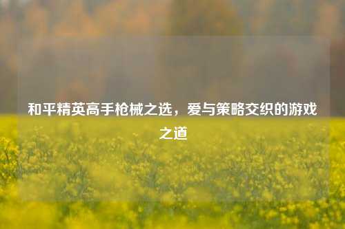 和平精英高手枪械之选,爱与策略交织的游戏之道