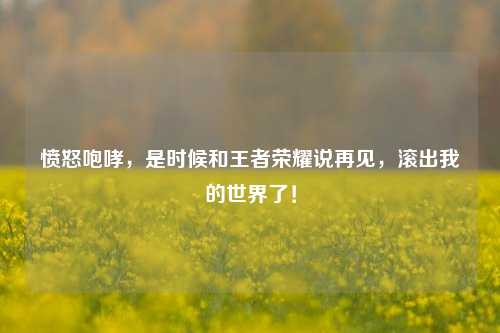 愤怒咆哮，是时候和王者荣耀说再见，滚出我的世界了！