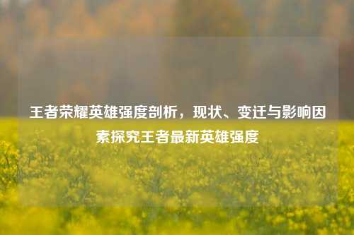 王者荣耀英雄强度剖析，现状、变迁与影响因素探究王者最新英雄强度