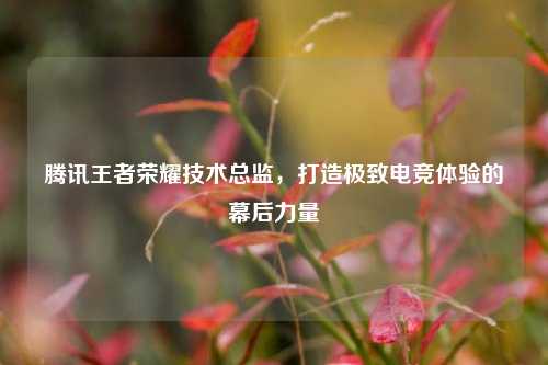 腾讯王者荣耀技术总监,打造极致电竞体验的幕后力量