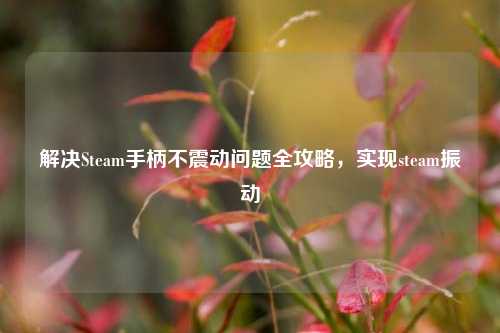 解决Steam手柄不震动问题全攻略,实现steam振动